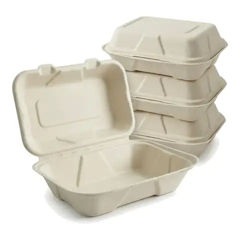 BB10 - 9X6 Bagasse, a pack in front with more packs stacked behind, bagasse container, burger box
