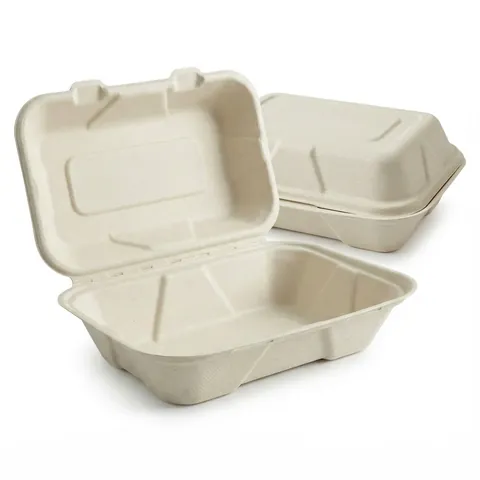 Two BB10 9x6 bagasse boxes, one open showing a single compartment and hinged lid, bagasse container, burger box