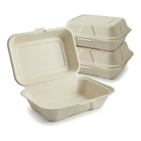 BB9 - 7X5 Bagasse, a pack in front with more packs stacked behind, bagasse container, burger box