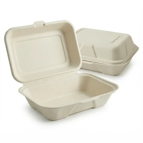 Two BB9 7x5 bagasse boxes, one open showing a single compartment and hinged lid, bagasse container, burger box
