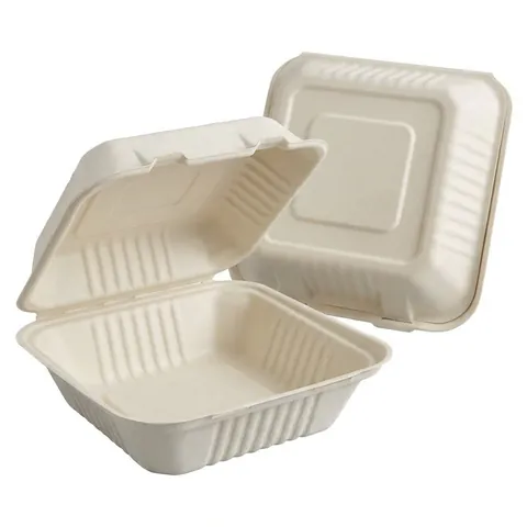 Two BB1 9x9 bagasse boxes with ribbed sides, one open showing a single compartment, bagasse container, burger box