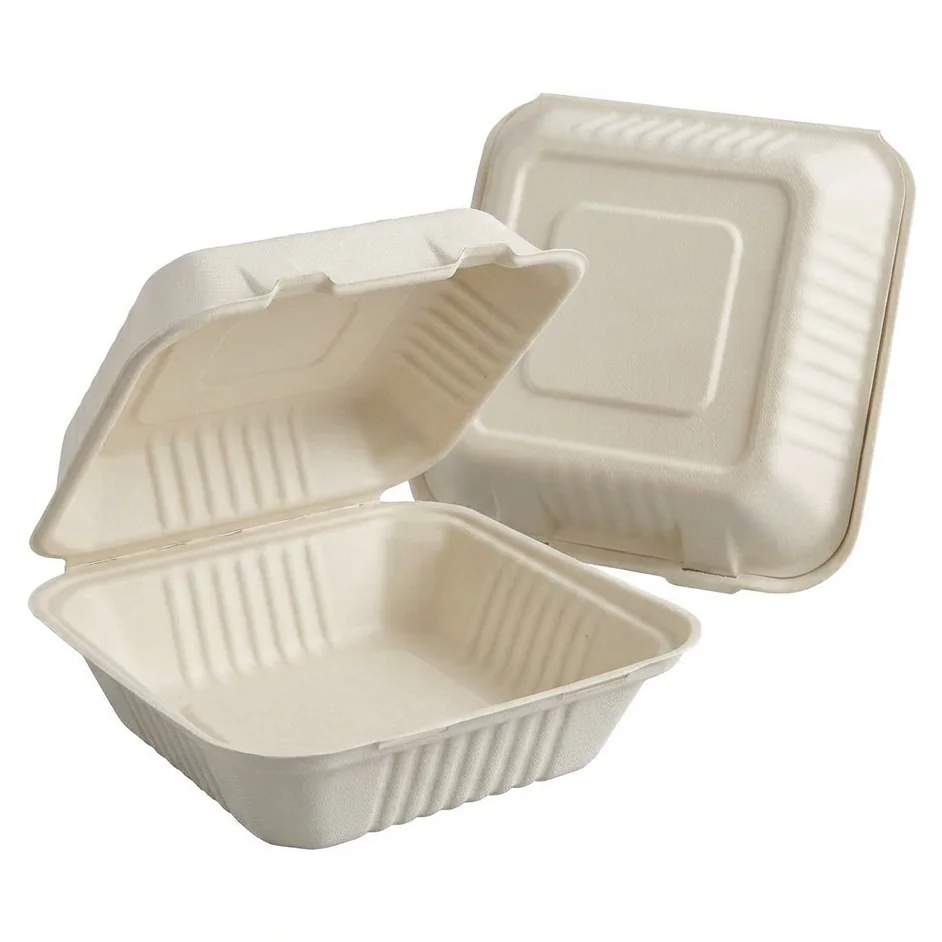 Two natural cream bagasse hinged takeaway boxes, one open and one closed, on a white background