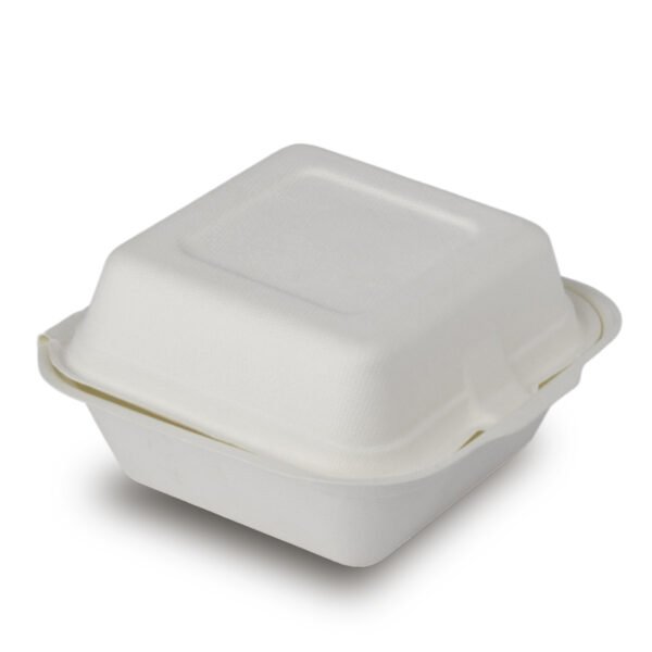 Bagasse Take out box for burger