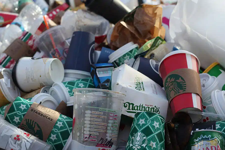 New Bans on Food Packaging