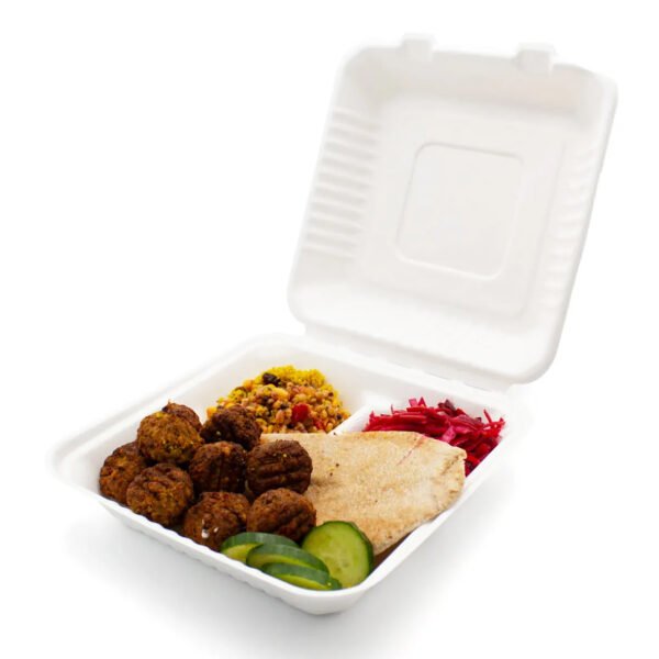 strong bagasse take away box and food container