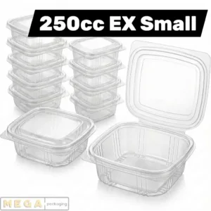 Hinged Plastic Container 250cc clear transparent food container secure snap closure