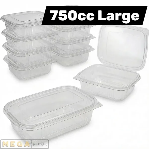 Hinged Plastic Container 750cc clear transparent food container ribbed sidewalls secure closure