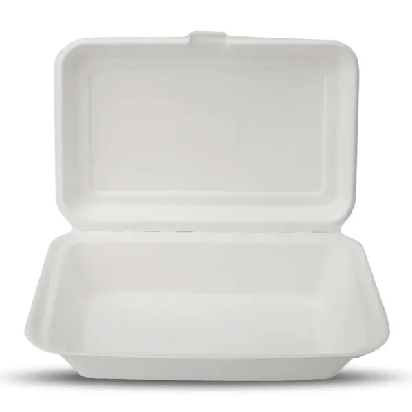 7x5" Bagasse Box